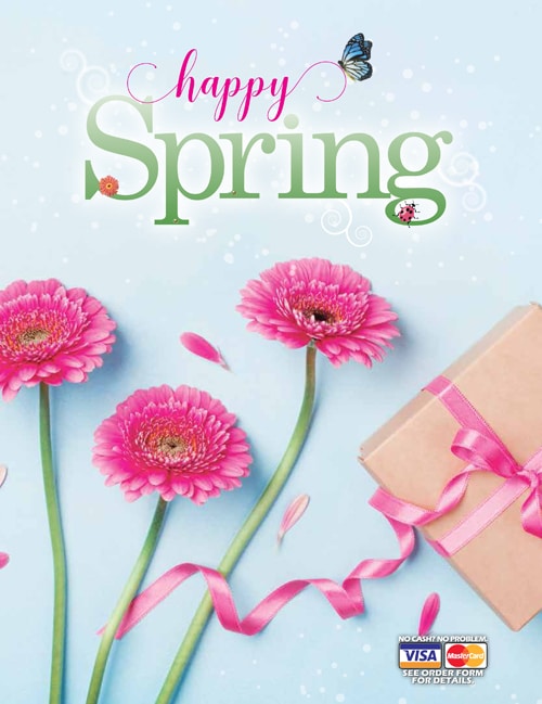 front cover of our Happy Spring school fundraising brochure