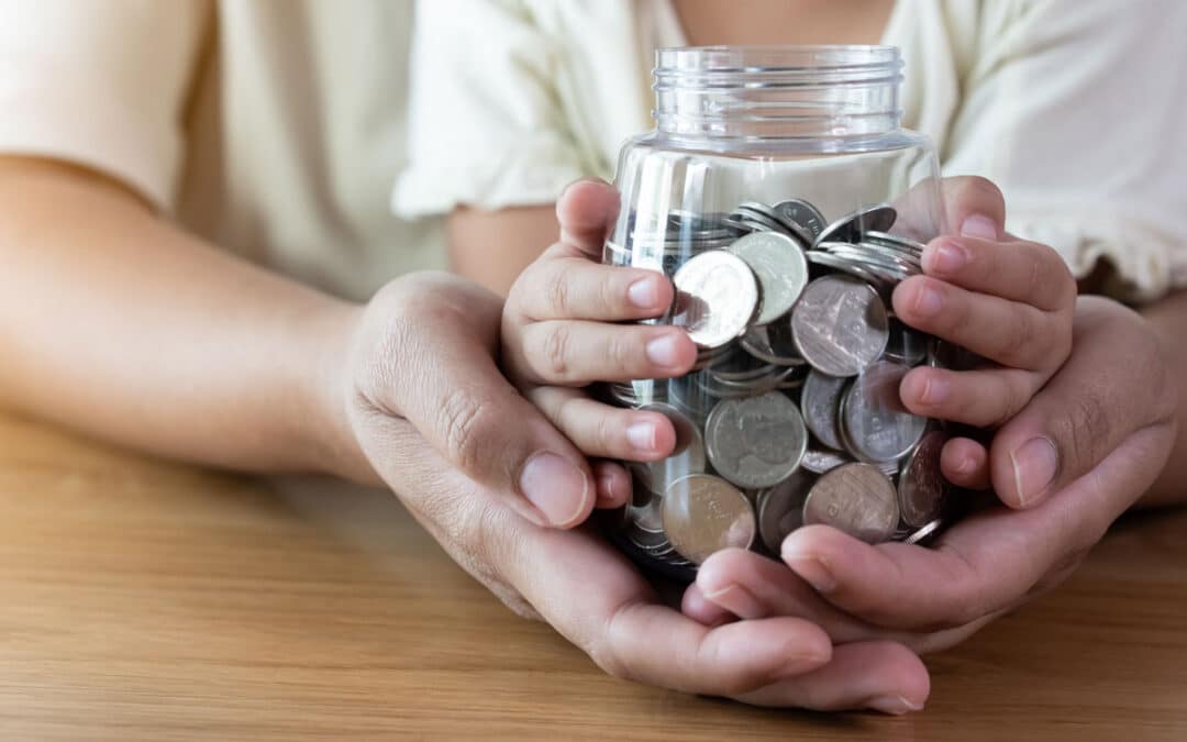 How Much Can Elementary School Fundraiser Catalogs Make?